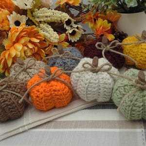 May include: A collection of handmade crochet pumpkins in various colors, including orange, yellow, green, and brown. Each pumpkin has a wooden stem and is tied with twine. The pumpkins are arranged on a white and beige striped surface, with fall flowers in the background.