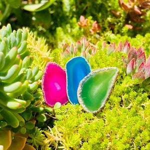 Peut inclure: Trois tranches d'agate polies aux couleurs rose, bleu et vert, avec un bord naturel. Elles sont pr&eacute;sent&eacute;es parmi des plantes succulentes et des plantes vertes luxuriantes. Ces tranches d'agate d&eacute;coratives offrent une esth&eacute;tique naturelle. Objet d&eacute;coratif unique.