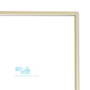 Op maat gemaakt aluminium frame met 2 mm methacrylaatglas en 2,5 mm MDF-plaat. Ideaal voor foto, poster, diploma,... | serie 2690 deel I