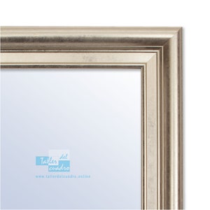 Pode incluir: Uma moldura de prata com um design simples e elegante. A moldura tem uma borda ligeiramente elevada e um acabamento liso e polido. A moldura está vazia e pronta para exibir uma foto ou uma obra de arte. O texto "Taller del cuadro" e "www.tallerdelcuadro.online" é visível no canto inferior da moldura.