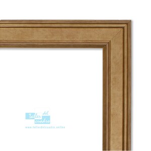 Frame voor foto, poster, puzzel, diploma, blad... gemaakt van grenenhout en 2 mm methacrylaatglas en 2,5 mm MDF-plaat | 2646 serie