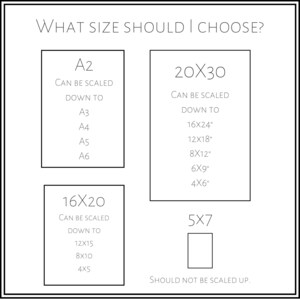 May include: A chart showing different print sizes and their scaling options. The chart includes sizes like A2, 20x30, 16x20, and 5x7. The chart indicates which sizes can be scaled down to smaller sizes and which sizes should not be scaled up.