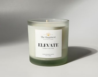 Elevate Luxury Fragrance Zen Candle | Eucalyptus & Mint Scented Candle | Apricot Soy Wax Candle | Decorated Candle | Utraluxe Fragrance