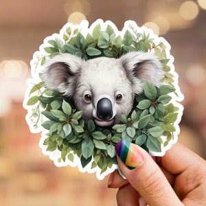 Koala Sticker, Koala bear sticker, cute koala sticker, Australian animal sticker, laptop sticker, phone sticker, water bottle sticker
