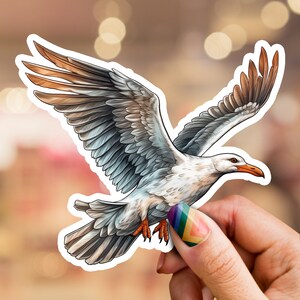 Seagull sticker, Seagull in flight decal, coastal inspired sticker, bird sticker, beach sticker, laptop sticker, phone sticker, water bottle
