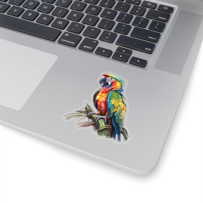 Adesivo pappagallo, adesivo Ara, adesivo uccello, uccello, adesivo natura, adesivo fauna selvatica, adesivo laptop, adesivo telefono, adesivo idro-fiaschetta immagine 2