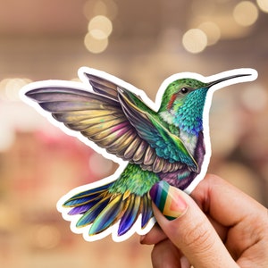 Kolibri Aufkleber, Kolibri Aufkleber, Vogel Aufkleber, Wasserkolben Aufkleber, Laptop Aufkleber, Telefon Aufkleber, Natur Aufkleber, wild lebende Tiere