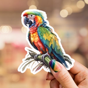 Parrot sticker, Macaw sticker, bird sticker, bird, nature sticker, wildlife sticker, laptop sticker, phone sticker, hydro flask sticker