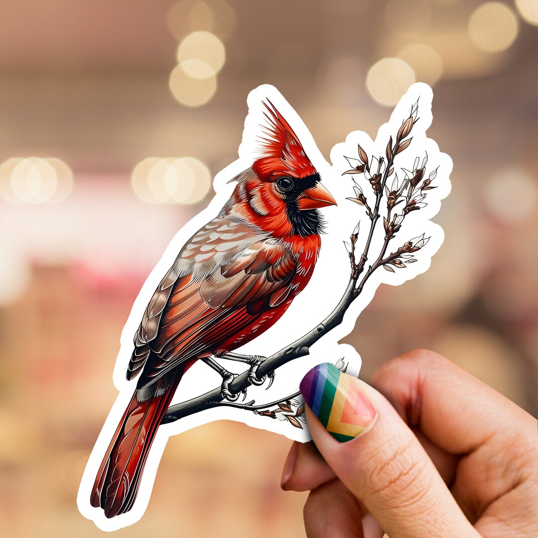 Cardinal Sticker, Cardinal Bird Sticker, Bird Sticker, Wildlife Sticker ...