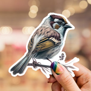 Sparrow Sticker, Bird Sticker, Animal Sticker, Nature Sticker, Bird lover, Wildlife sticker, laptop sticker, phone sticker, Bird Art, bird