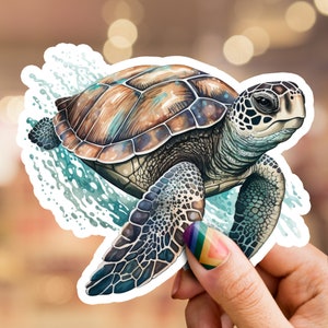 Pegatina de tortuga marina, pegatina de tortuga, pegatina, amante de las tortugas, pegatina de computadora portátil, pegatina de teléfono, pegatina de matraz hidro, pegatina de naturaleza, vida silvestre