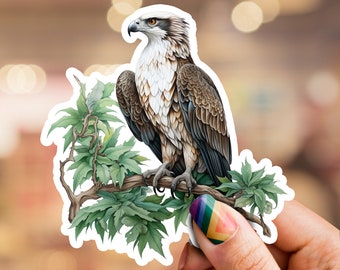 Osprey Hawk Sticker, Hawk Sticker, Eagle sticker, Osprey Sticker, Bird of prey sticker, laptop sticker, phone sticker, bird sticker, falcon