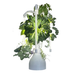 15 Plant Hydroponic Tower with Integrated Lighting and Watering Systems | Simple Setup | Easy Upkeep | Fast Growth | The Hydro Tower®