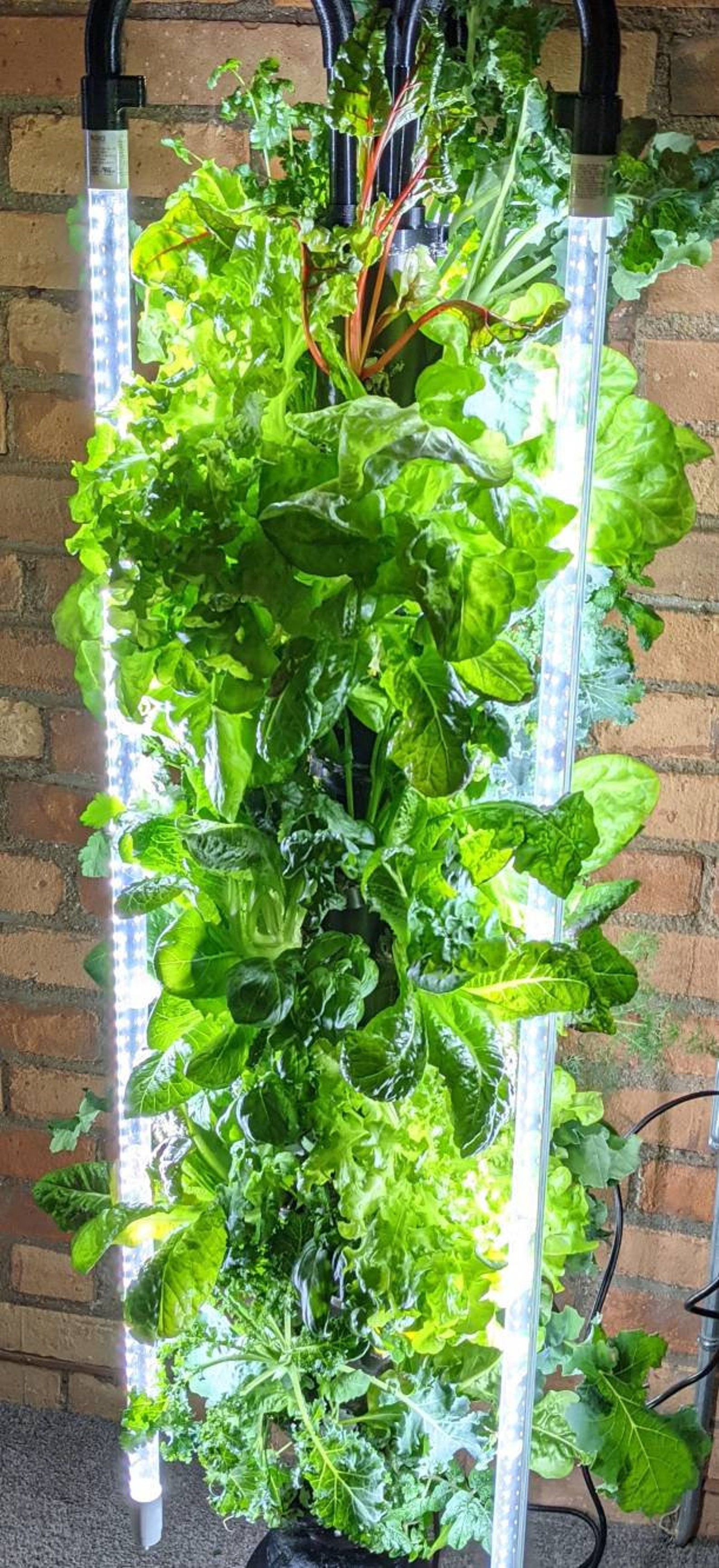The Hydro Designs Hydroponic Grow Tower With Lighting System Etsy