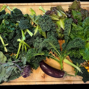 16 Variety Seed Sampler Tested for Hydroponic Gardening. A mix of colorful lettuces, herbs, dwarf tomatoes, and hard to find species!