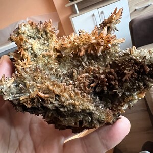 May include: A cluster of brown and white crystals with a rough, textured surface. The crystals are arranged in a random, organic pattern, creating a unique and interesting display.