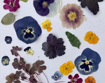 Mixed pack Dried and pressed Edible Flowers and leaves