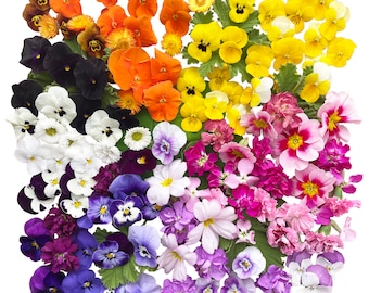 Real Edible Flowers