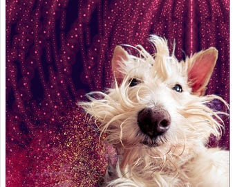 May include: A fluffy, cream-colored terrier dog with shaggy fur and a dark nose, positioned against a vibrant, deep magenta background featuring a sparkling, glittery texture and vertical light patterns that create a festive, glowing effect.