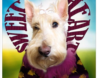 Scottish Terrier Sweetheart - Print - Greeting Card Blank Inside - Scottie Postcard
