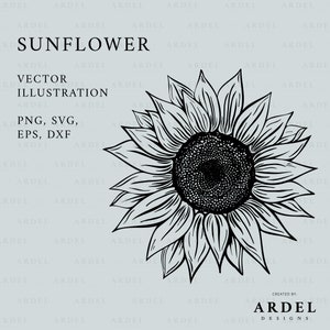 Sunflower SVG - Vector File - Detailed Sunflower Outline