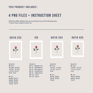May include: Four PNG files and an instruction sheet for printing images in different aspect ratios. The ratios are 2x3, ISO, 3x4, and 4x5. The image shows a pink rose with green leaves in each ratio.