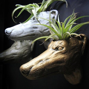 Greyhound dog head hanging wall pot for succulent