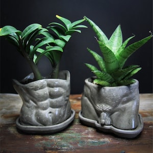 David Concrete male body  planter pot naked body / bud vase / concrete pot / gift / handmade