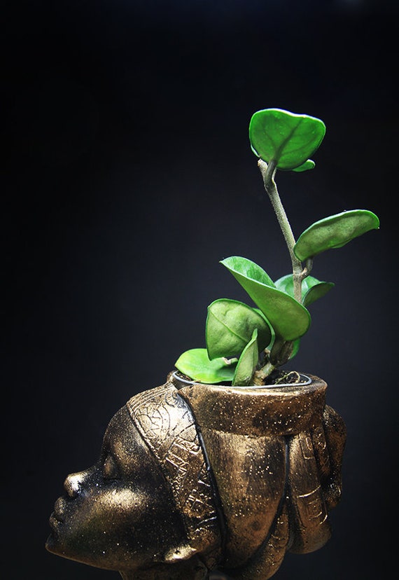 POT DE FLEUR,Black-Only the pot--Mini Pot de fleurs en forme de