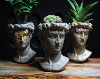 Concrete Head Planter / Male Head Planter / Concrete Head Planter / Unique Planter / Head Planter / Flower Pot David Statue/ David Statue