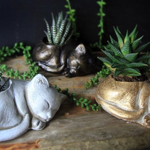 Adorable concrete cat planter for succulents
