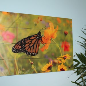 Tranquil Butterfly Wood Photo Pallet, Wood Plank Art, Photo Gifts, Wood Plank Wall Art, Landscape Nature Photography