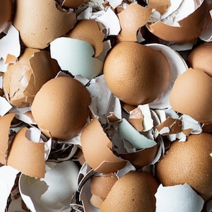 Polvere di gusci d'uovo. Sostituto del bianco per smalti ceramici. Fertilizzante naturale senza sostanze chimiche per il giardino.