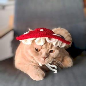 andwang ♡ Fluffy cat knit hat Fluffy cat knit hat