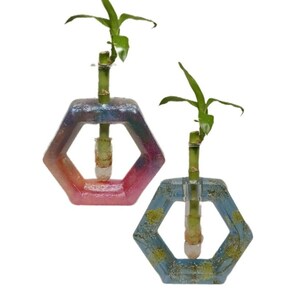 May include: Two hexagonal vases with a gradient design. The vase on the left is pink and blue, while the vase on the right is blue and gold. Each vase has a clear glass tube in the center for holding a plant. A small bamboo plant is in each vase.