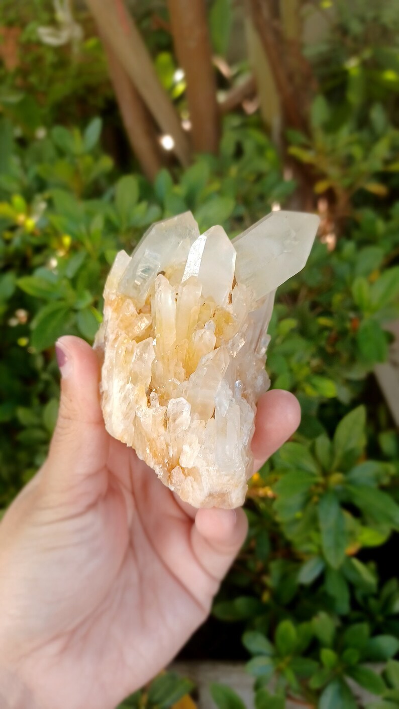 Golden Healer Quartz Pineapple Quartz Candle Quartz Cascading Quartz Artichoke Quartz Crystal