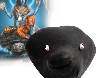 Kurma Avatar Shaligram Kachua Avatar Tortoise Shila Stone Ompoojashop