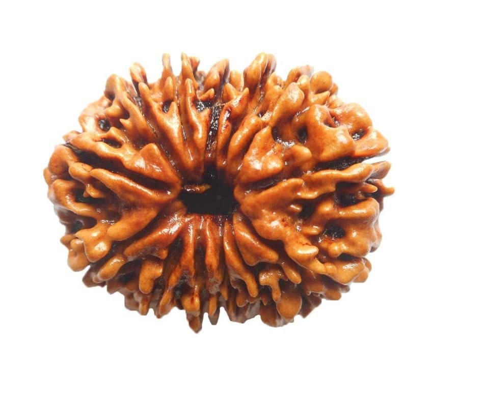 認定13面ルドラクシャビーズ - ネパール産、シルバーキャップ - Om