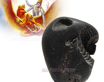 Garuda Vishnu Shaligram Shila Stone 100% Natural Shila From Nepal Karnali River Shaligram Ompoojashop