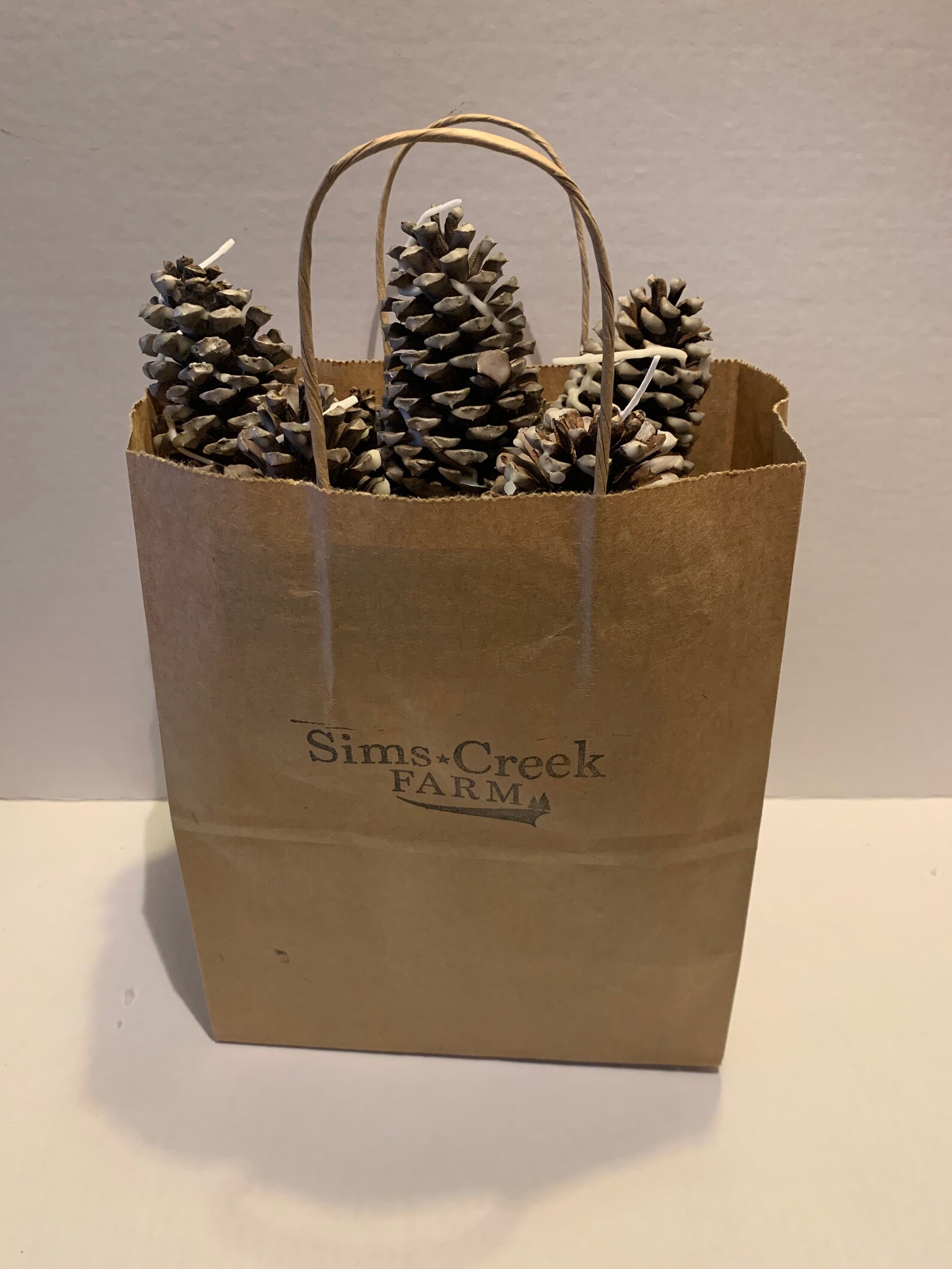 Pine Cone Fire Starters dipped in beeswax with an easy to Etsy