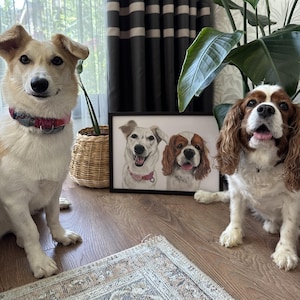 Hand-Drawn Pet Portrait Custom Realistic Personalized Memorial Pet Gift Custom Mothers Day Pet Lover Gifts Pet Portrait  Cat lovers Gift