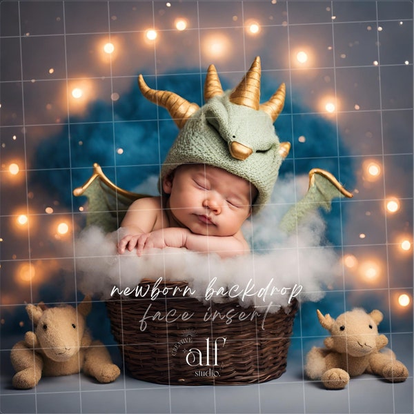 Dragon Newborn Backdrop Cloudy Add Face Insert Background Wild Animal Baby Studio Overlay Cloud Nest Newborn for Boy Head Insert Backdrop