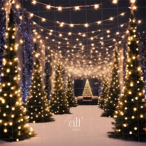 Shine Christmas Backdrop Tree Garden Backgrounds New Year Composite Xmas Photo Props DIGITAL Xmas Studio Overlay Winter Garden Decoration