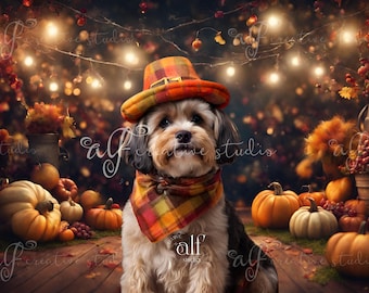 Pets Background Thanksgiving Digital Thanksgiving Backdrops Enchanted Pet Party Studio Enhancement Holiday Pets Digital Pet Thanksgiving