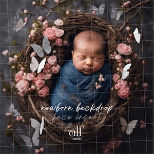 Newborn Backdrop Butterfly Texture Dark Scene Overlay Daisy Flowers Background Add Face Insert Maternity Overlays Babyshower Backdrops