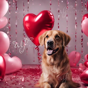 Valentinstag Haustier Requisiten Liebe-Themen Studio Backdrops Haustier Hintergrund Herz Luftballons Valentinstag Digitale Tapete Valentinstag Haustier Kulissen