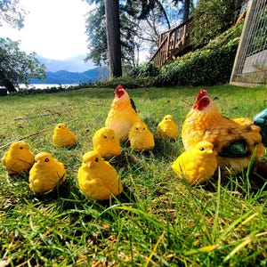 May include: A group of yellow chicken and chick ornaments on grass. The chickens have red combs and the chicks are small and round. The scene is set outdoors with a view of water and trees in the background.