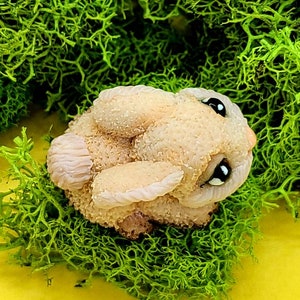 Mini stampo a forma di coniglio Stampo per sapone a forma di coniglio Stampo per sapone in silicone Stampo in silicone 3D Stampo per resina epossidica Stampo per sapone Stampo in silicone unico Forniture per sapone