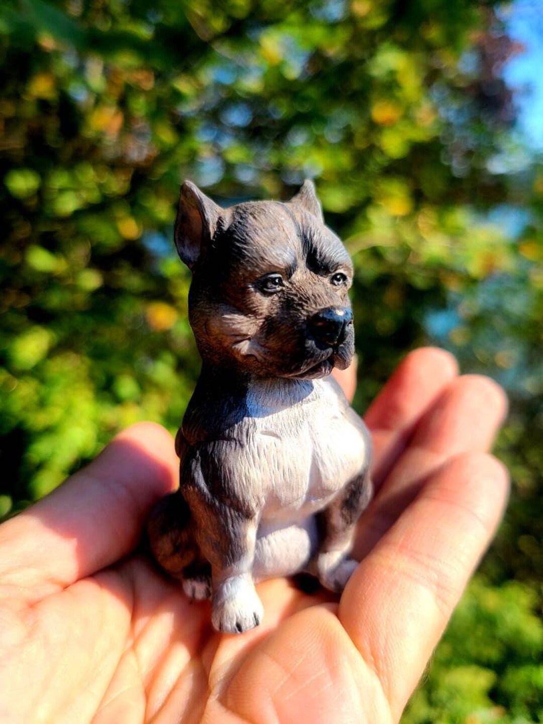 African Wild Dogs Savannah Off Zimbabwe Foto de stock 1159488727 |  Shutterstock, image size:1080x1440