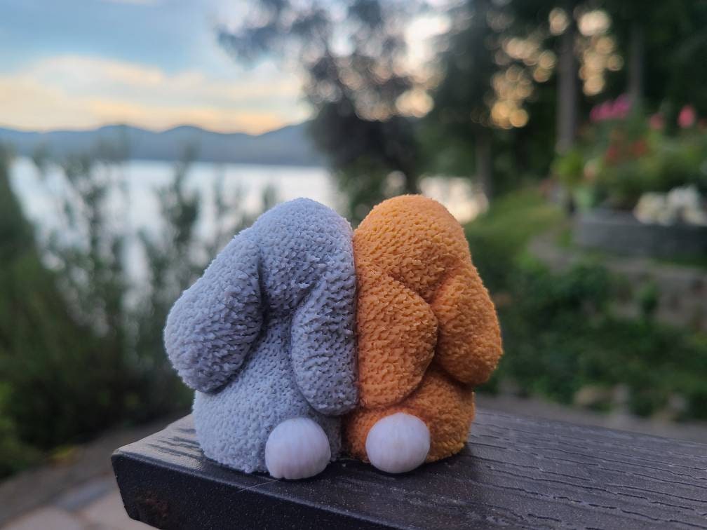 Soaping Rabbit Best Friends Rabbit Silicone Mold, Soap/candle Making - Etsy